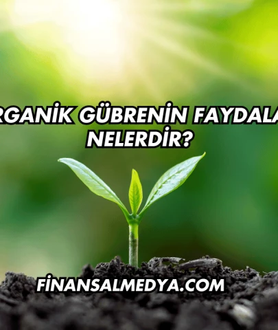 Organik Gübrenin Faydaları Nelerdir?