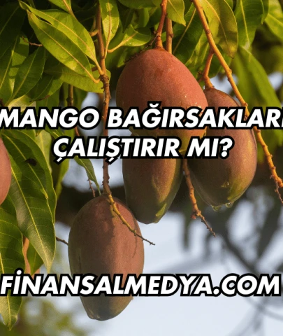 Mango Bağırsakları Çalıştırır mı?