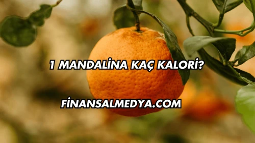 1 Mandalina Kaç Kalori?