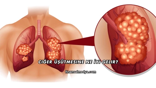 Ciğer Üşütmesine Ne İyi Gelir?