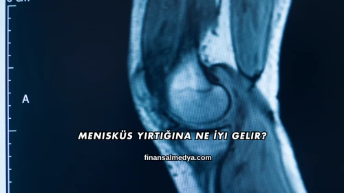 Menisküs Yırtığına Ne İyi Gelir?