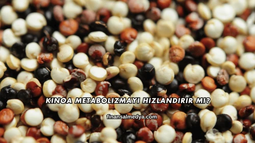 Kinoa Metabolizmayı Hızlandırır mı?