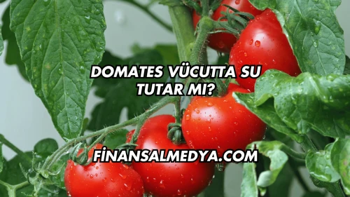 Domates Vücutta Su Tutar mı?