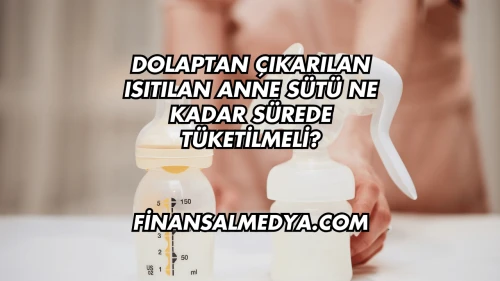 Dolaptan Çıkarılan Isıtılan Anne Sütü Ne Kadar Sürede Tüketilmeli?