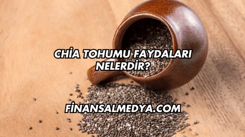 Chia Tohumu Faydaları Nelerdir?