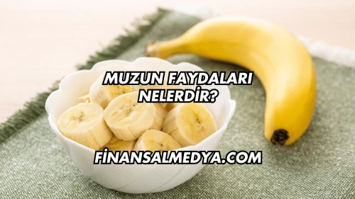 Muzun Faydaları Nelerdir?