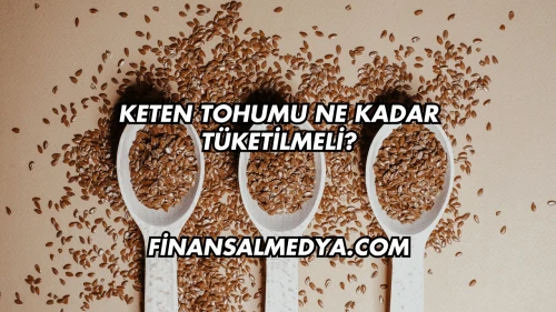 Keten Tohumu Ne Kadar Tüketilmeli?