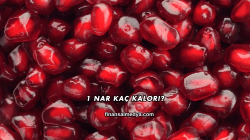 1 Nar Kaç Kalori?