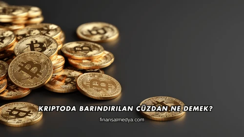Kriptoda Barındırılan Cüzdan Ne Demek?