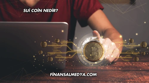 Sui Coin Nedir?