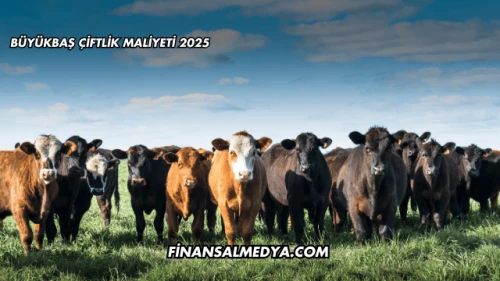 Büyükbaş Çiftlik Maliyeti 2025