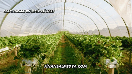 Sera Kurmanın Maliyeti 2025
