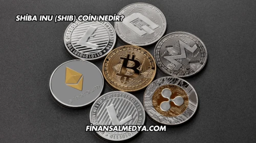 Shiba Inu (SHIB) Coin Nedir?