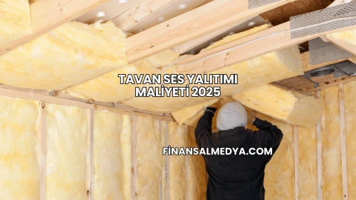 Tavan Ses Yalıtımı Maliyeti 2025