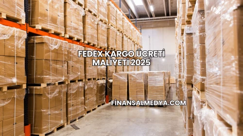 FedEx Kargo Ücreti Maliyeti 2025