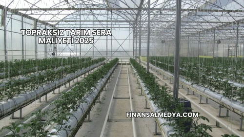 Topraksız Tarım Sera Maliyeti 2025
