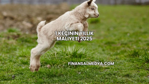 1 Keçinin Yıllık Maliyeti 2025