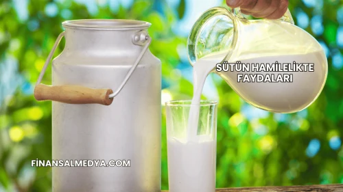 Sütün Hamilelikte Faydaları