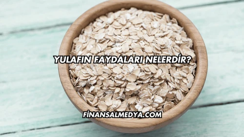 Yulafın Faydaları Nelerdir?