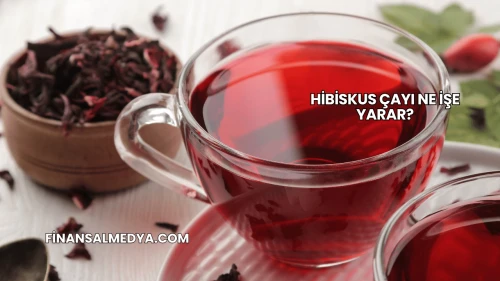 Hibiskus Çayı Ne İşe Yarar?