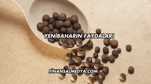 Yenibaharın Faydaları