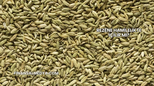 Rezene Hamilelikte İçilir mi?