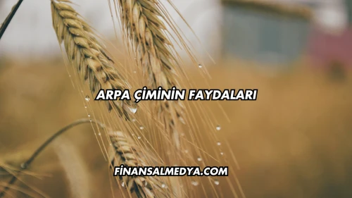 Arpa Çiminin Faydaları