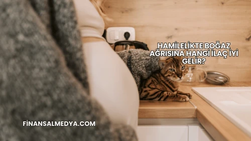 Hamilelikte Boğaz Ağrısına Hangi İlaç İyi Gelir?
