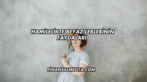 Hamilelikte Beyaz Leblebinin Faydaları