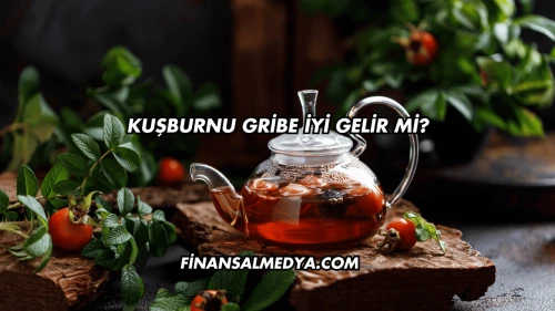 Kuşburnu Gribe İyi Gelir mi?