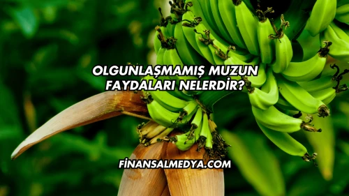 Olgunlaşmamış Muzun Faydaları Nelerdir?