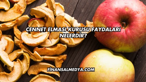 Cennet Elması Kurusu Faydaları Nelerdir?