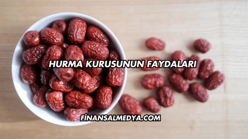 Hurma Kurusunun Faydaları