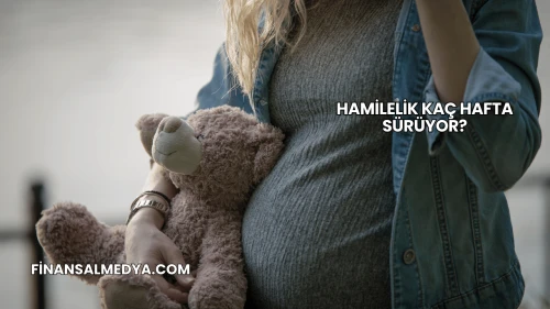 Hamilelik Kaç Hafta Sürüyor?