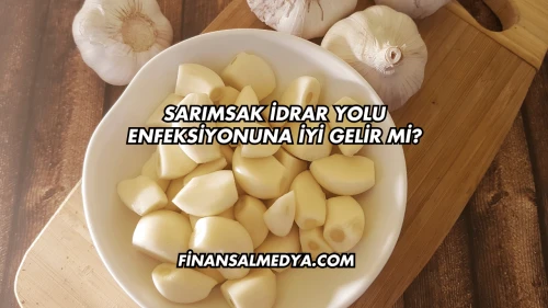 Sarımsak İdrar Yolu Enfeksiyonuna İyi Gelir mi?