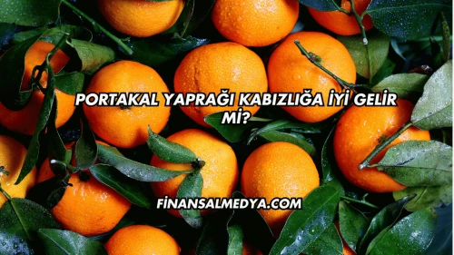 Portakal Yaprağı Kabızlığa İyi Gelir mi?