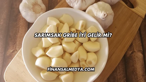 Sarımsak Gribe İyi Gelir mi?