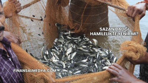 Sazan Balığı Hamilelikte Yenir mi?