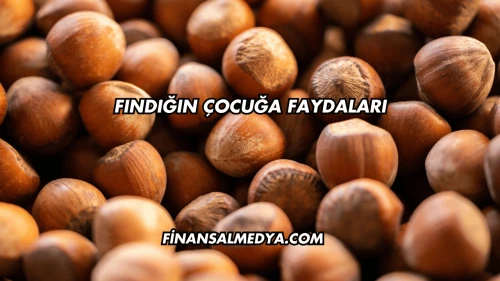 Fındığın Çocuğa Faydaları
