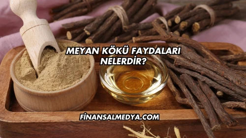 Meyan Kökü Faydaları Nelerdir?