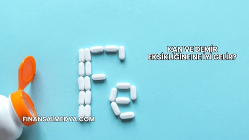 Kan ve Demir Eksikliğine Ne İyi Gelir?
