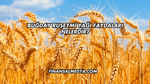 Buğday Ruşeymi Yağı Faydaları Nelerdir?