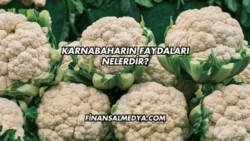 Karnabaharın Faydaları Nelerdir?