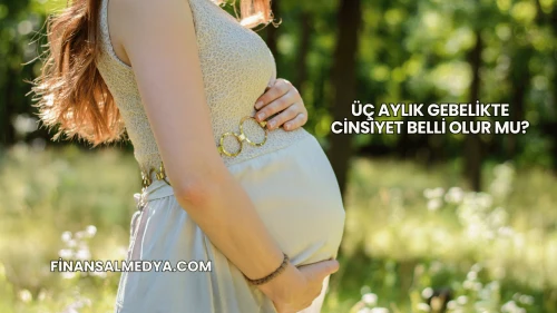 Üç Aylık Gebelikte Cinsiyet Belli Olur mu?