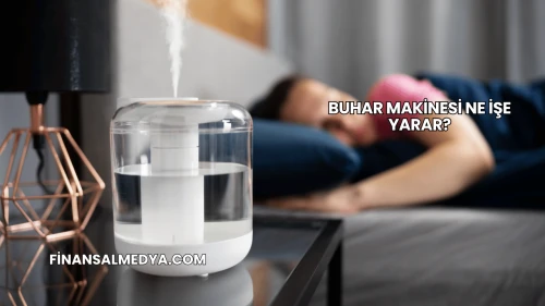 Buhar Makinesi Ne İşe Yarar?