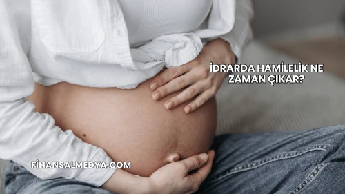 İdrarda Hamilelik Ne Zaman Çıkar?