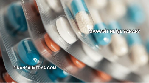 Magosit Ne İşe Yarar?