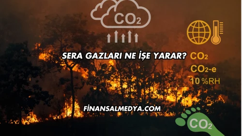 Sera Gazları Ne İşe Yarar?