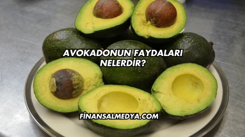 Avokadonun Faydaları Nelerdir?