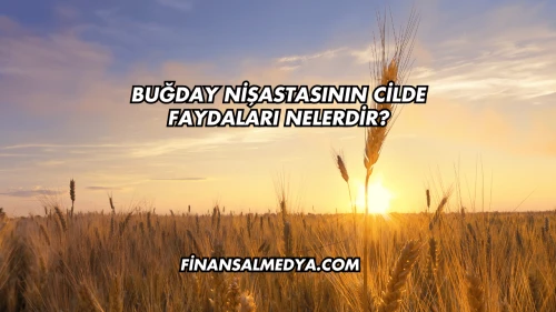 Buğday Nişastasının Cilde Faydaları Nelerdir?